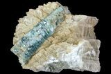 Fluorapatite Crystal In Calcite - New York #71626-2